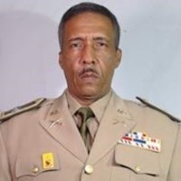 Fausto de los Santos Pérez - Coronel (DEM), ERD. - Vicepresidente